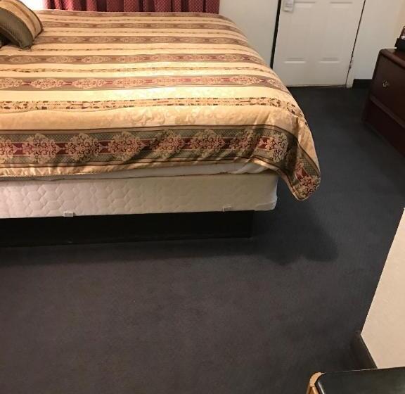 汽车旅馆  Budget Inn Of Brownfield