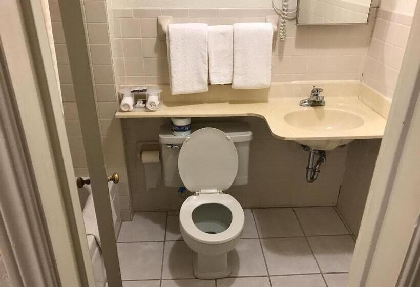 汽车旅馆  Budget Inn Of Brownfield