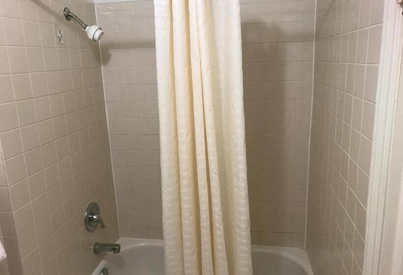 汽车旅馆  Budget Inn Of Brownfield