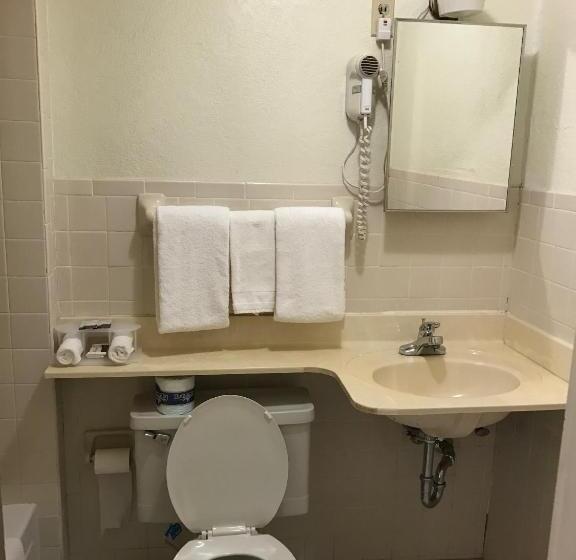 汽车旅馆  Budget Inn Of Brownfield