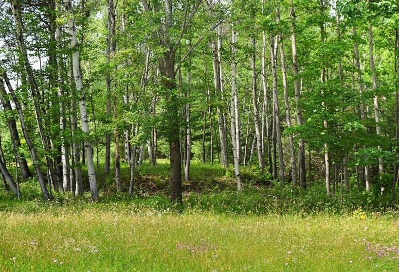 מוטל Hungry Trout Resort