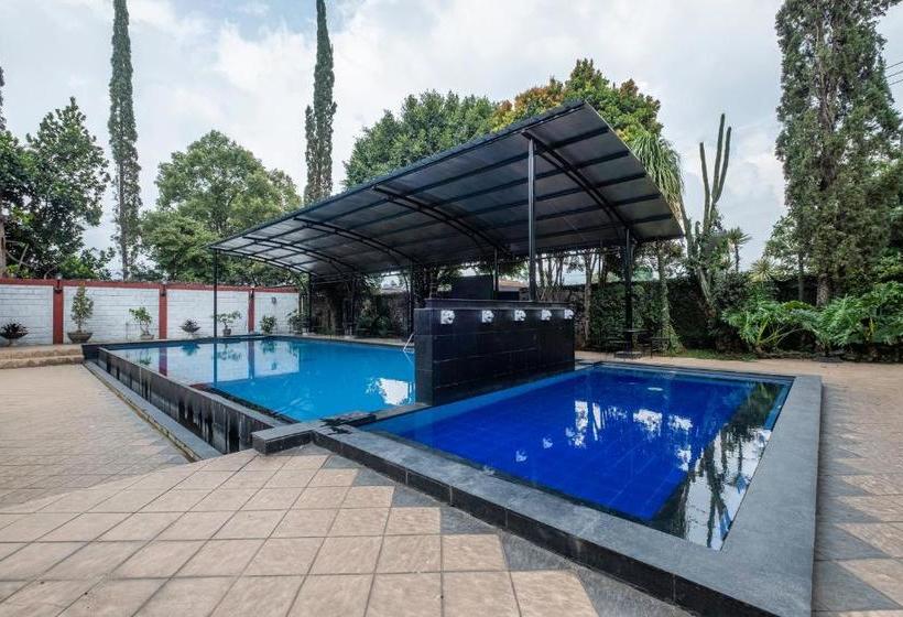 בית מלון כפרי Narima Resort