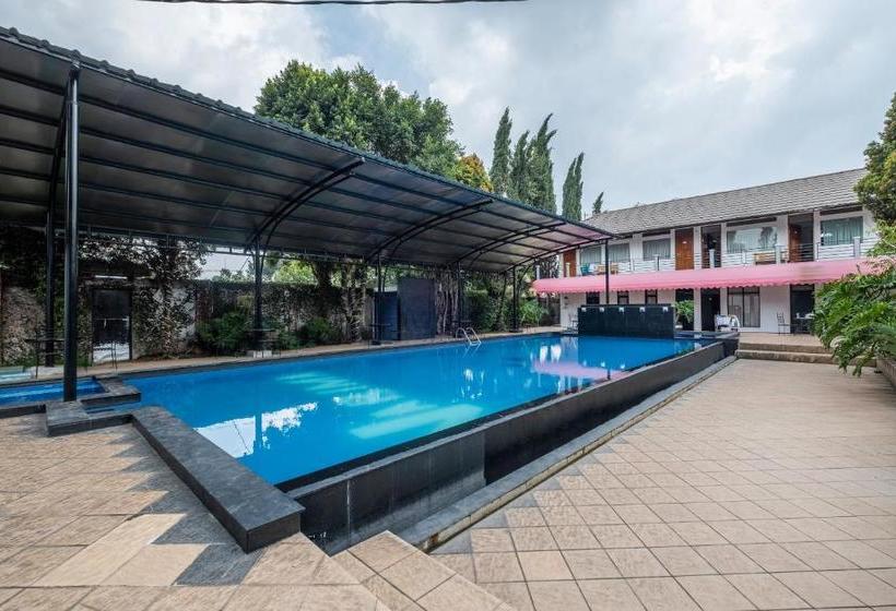 בית מלון כפרי Narima Resort