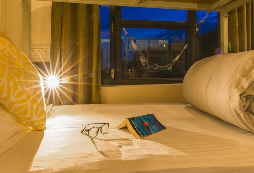 فندق صغير Zostel Dharamkot