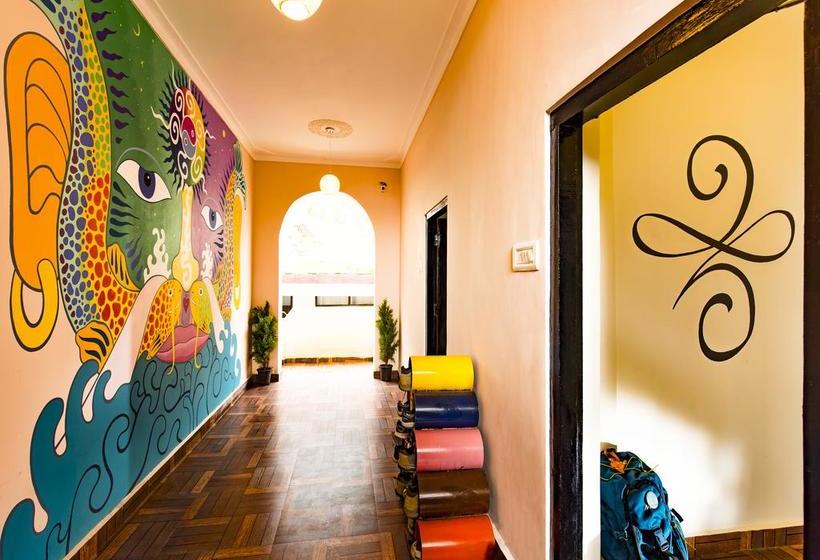 فندق صغير Zostel Dharamkot