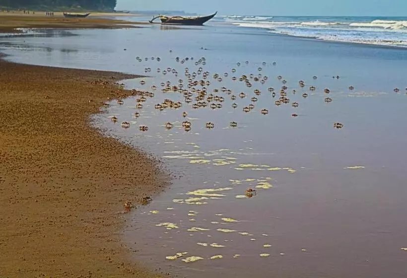 Athaang Beach Resort