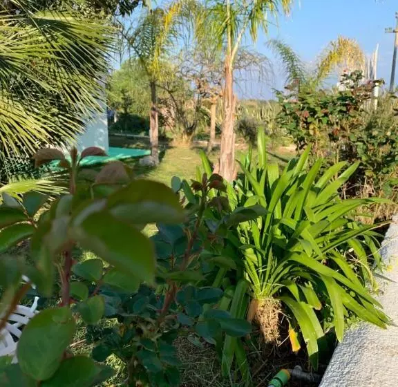 B&b A Casa Di Picci