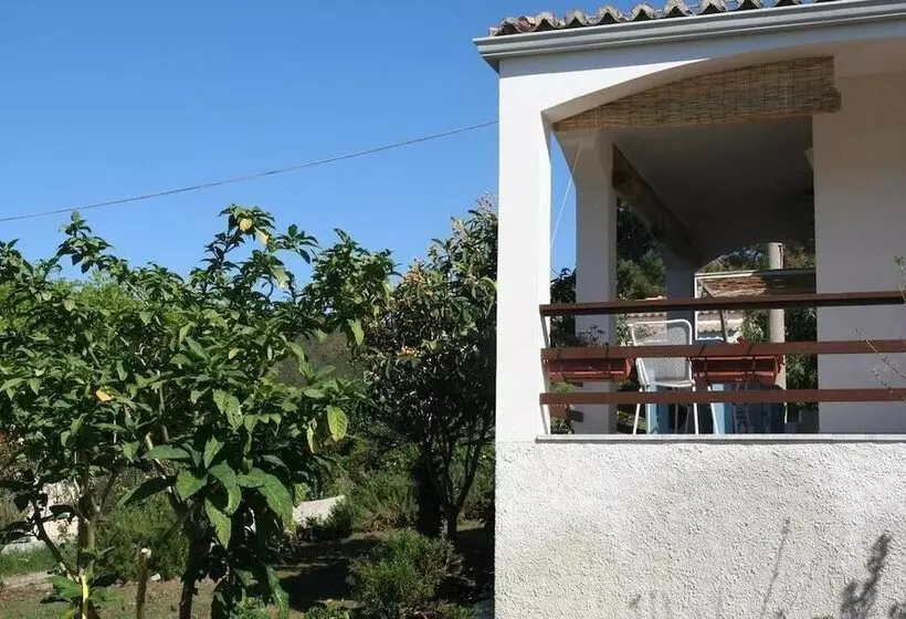B&b A Casa Di Picci