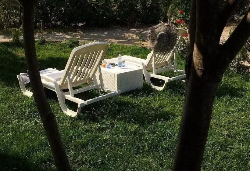 B&b A Casa Di Picci