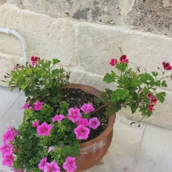 B&b La Casetta