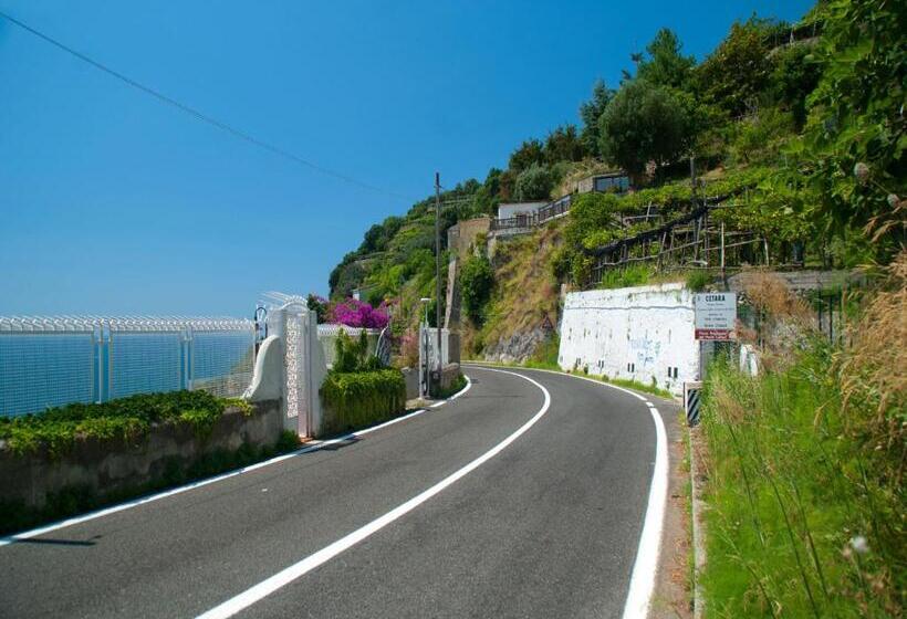 Bed and Breakfast Il Nido Del Gabbiano