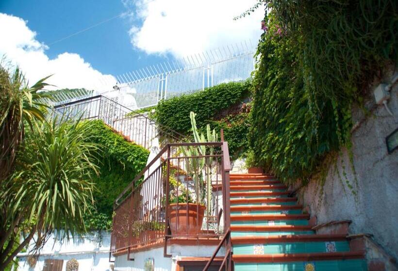 Bed and Breakfast Il Nido Del Gabbiano