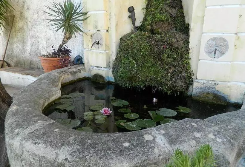 تختخواب و صبحانه Il Nido Del Gabbiano