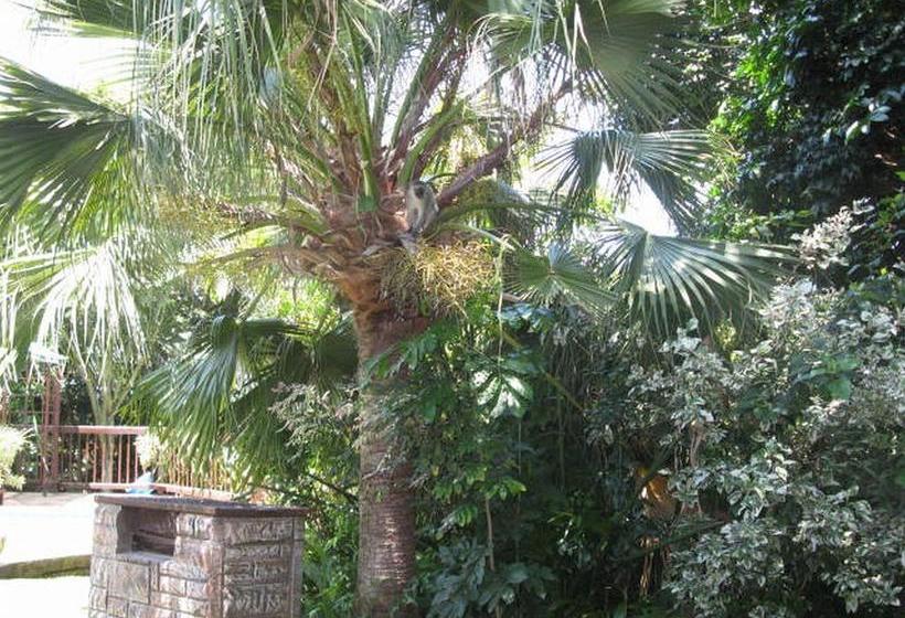 مبيت وإفطار Mdoni House Guest Lodge