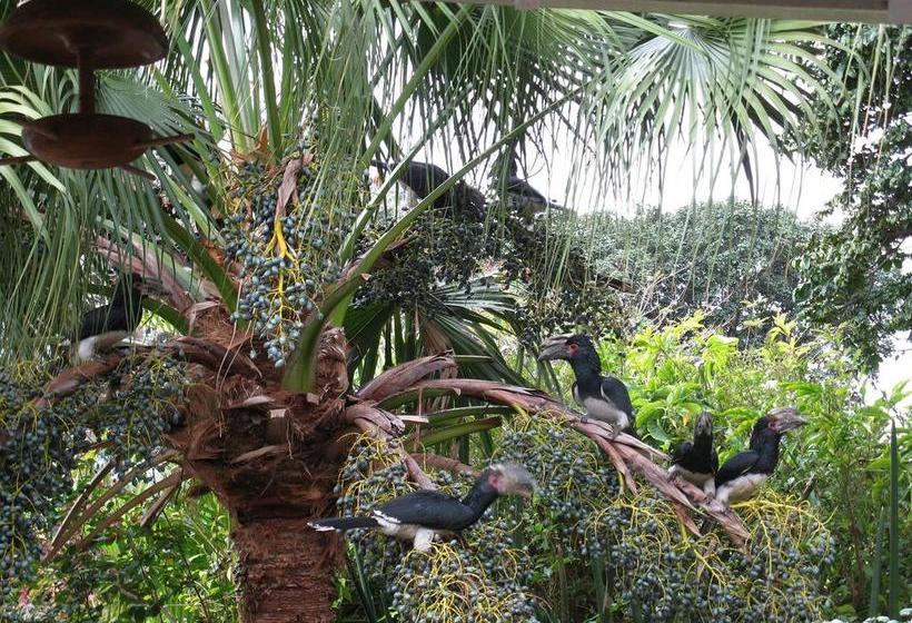 مبيت وإفطار Mdoni House Guest Lodge