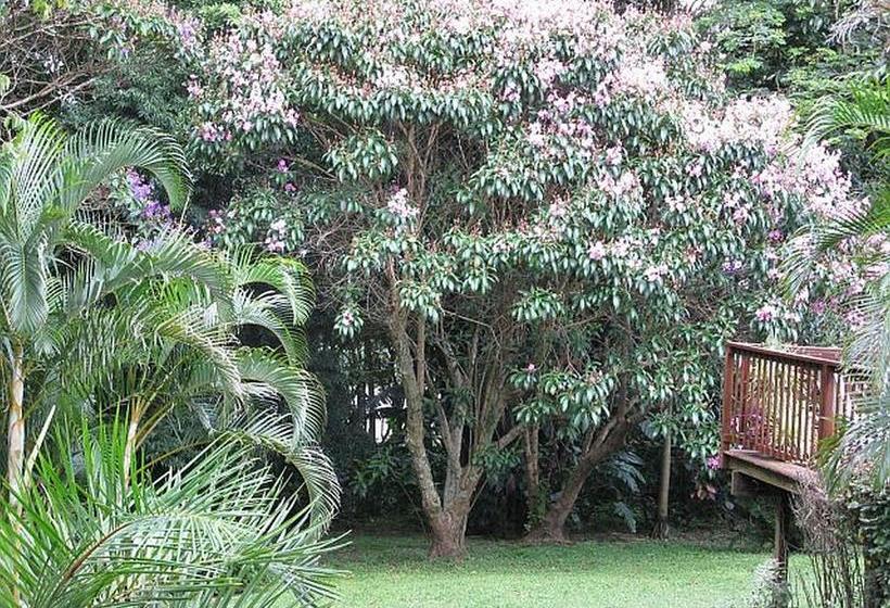 مبيت وإفطار Mdoni House Guest Lodge