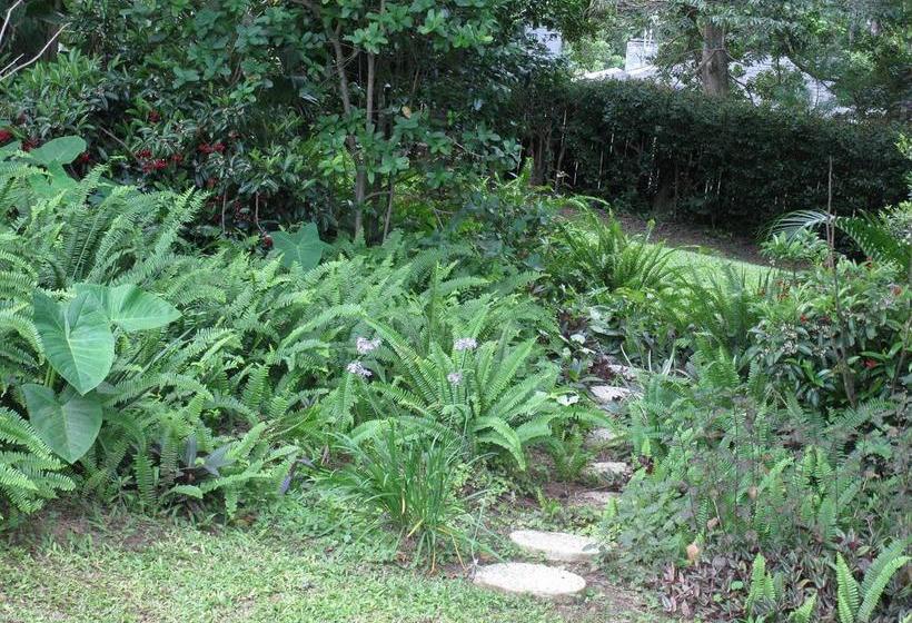 مبيت وإفطار Mdoni House Guest Lodge