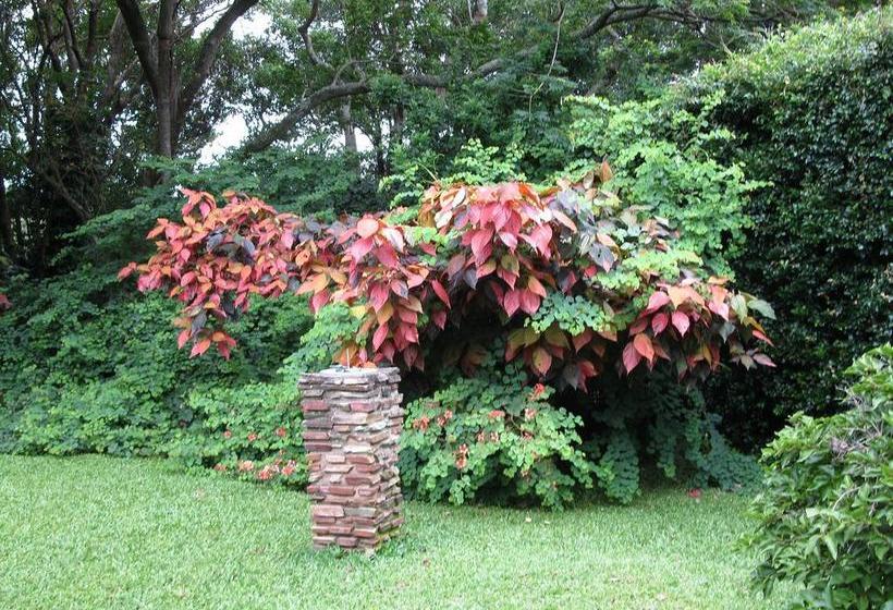 مبيت وإفطار Mdoni House Guest Lodge