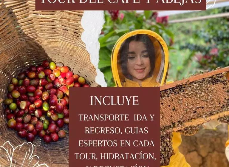 Hotelli Europa Ecotours