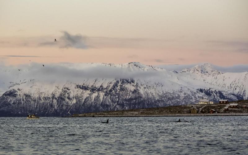 בית מלון כפרי L Maritim Skjervoy