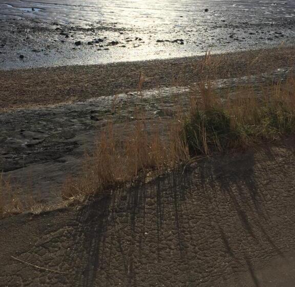 Southend Airport Bed & Breakfast