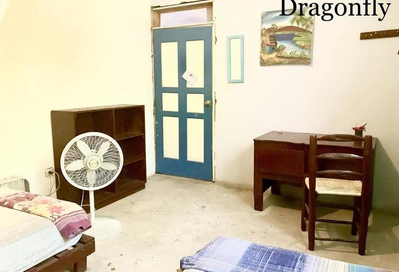 هاستل Haiti Communitere