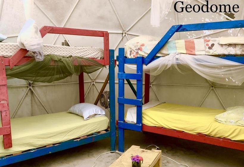 هاستل Haiti Communitere