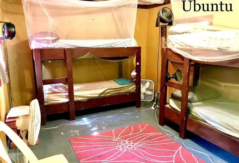 هاستل Haiti Communitere