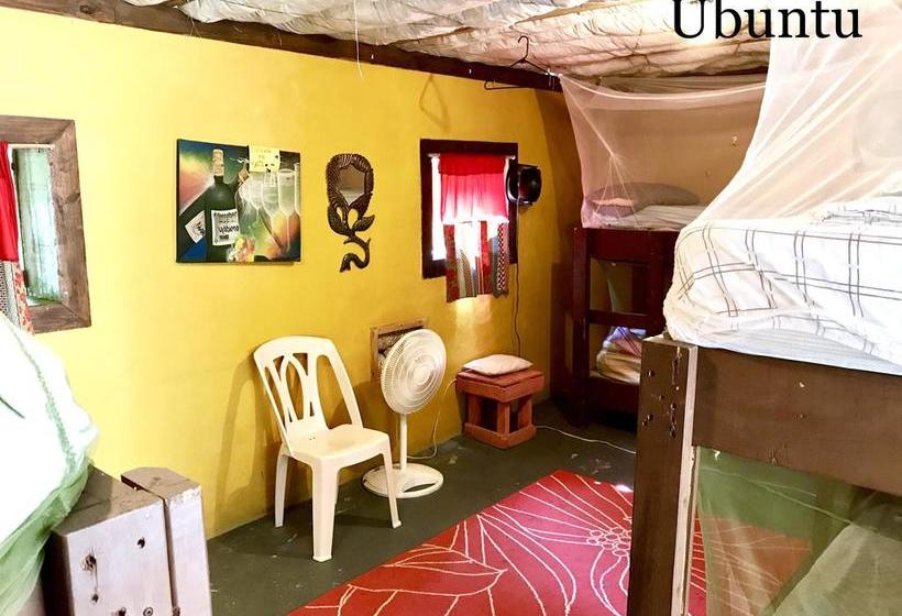 هاستل Haiti Communitere