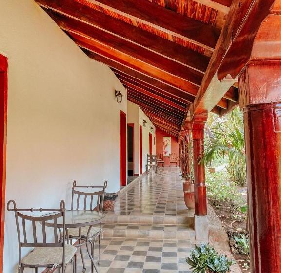 هاستل Viavia Leon