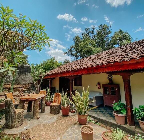 هاستل Viavia Leon