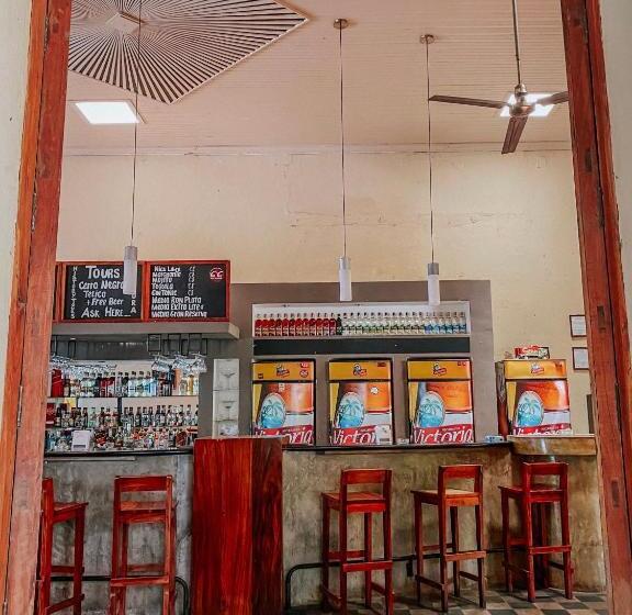 هاستل Viavia Leon