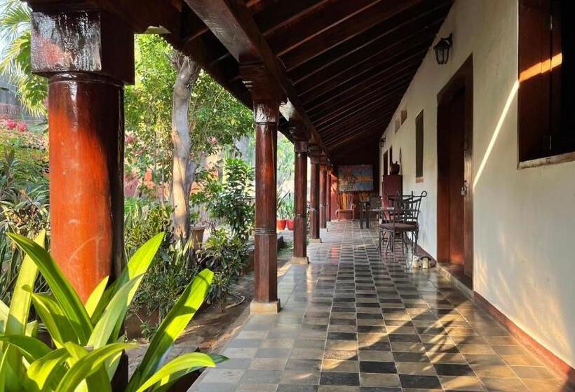 هاستل Viavia Leon