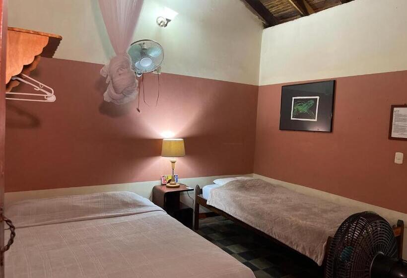 هاستل Viavia Leon