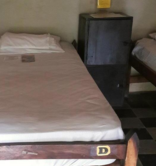 هاستل Viavia Leon