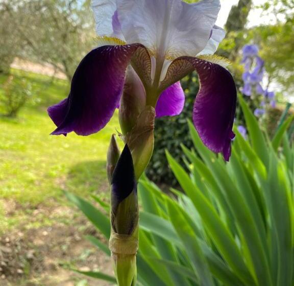 민박 Alloggio Turistico La Balocca