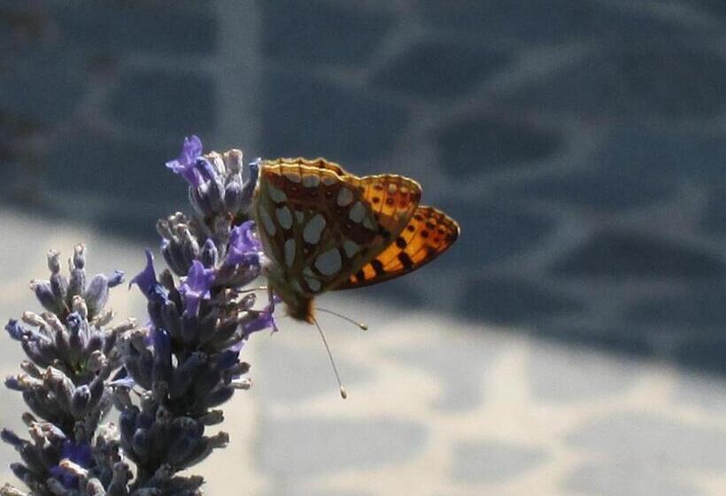 Bed and Breakfast Alloggio Turistico La Balocca