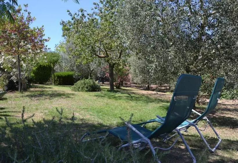 Aamiaismajoitus (B&B) Alloggio Turistico La Balocca