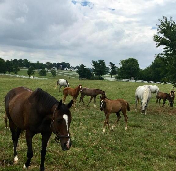 مبيت وإفطار Charred Oaks Inn