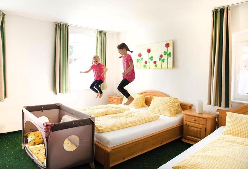 酒店 Alt Oberndorf