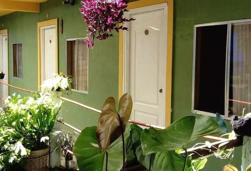 ホテル Una Estrella Casa De Huéspedes