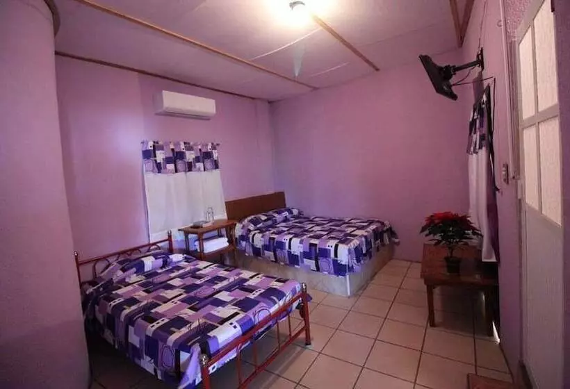 ホテル Una Estrella Casa De Huéspedes