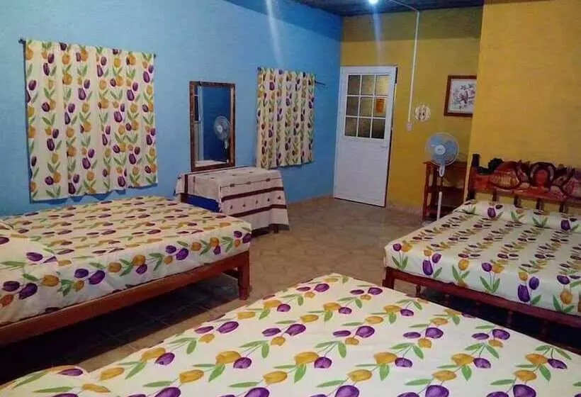 ホテル Una Estrella Casa De Huéspedes