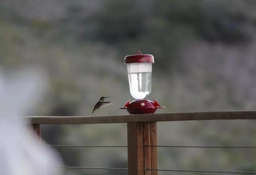 The Arizona Lighthouse B&b