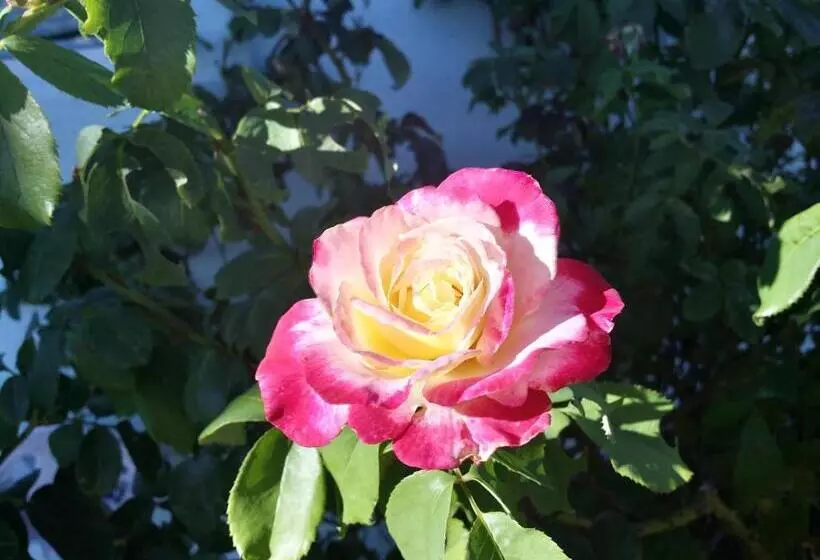 The Arizona Lighthouse B&b