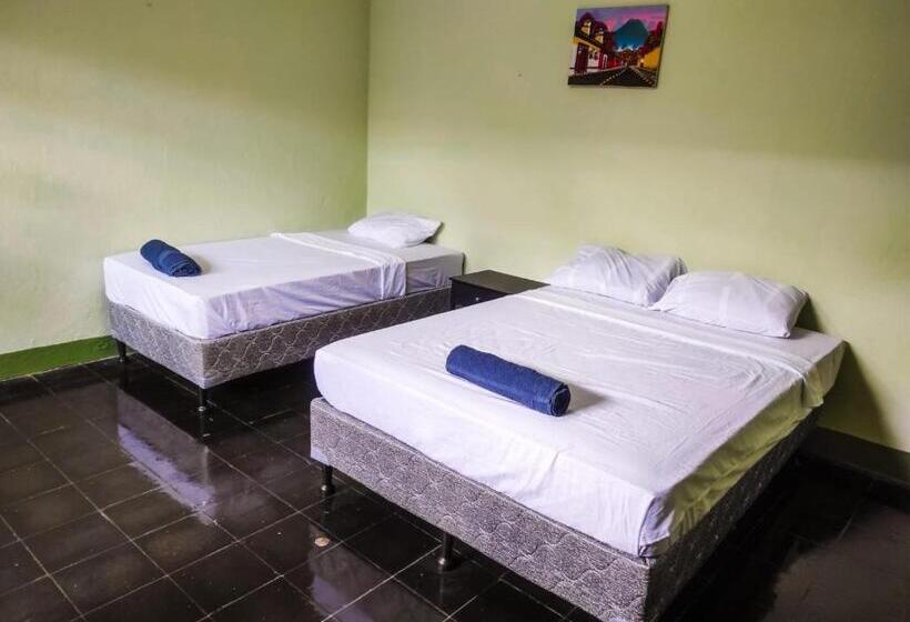 تختخواب و صبحانه Cocohouse Leon