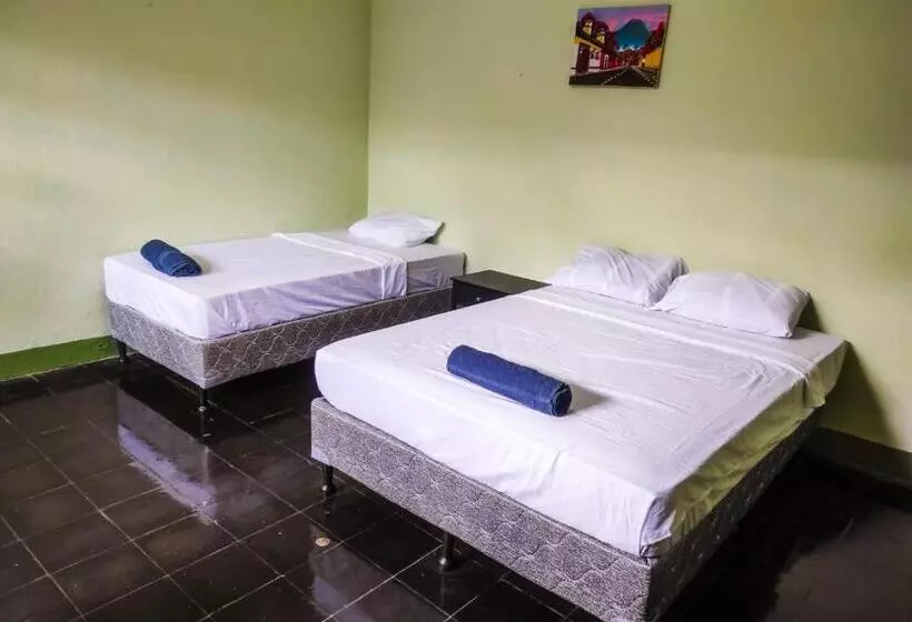 تختخواب و صبحانه Cocohouse Leon