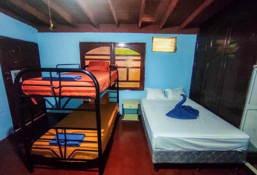 تختخواب و صبحانه Cocohouse Leon