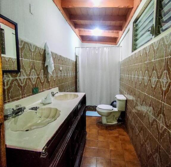 تختخواب و صبحانه Cocohouse Leon