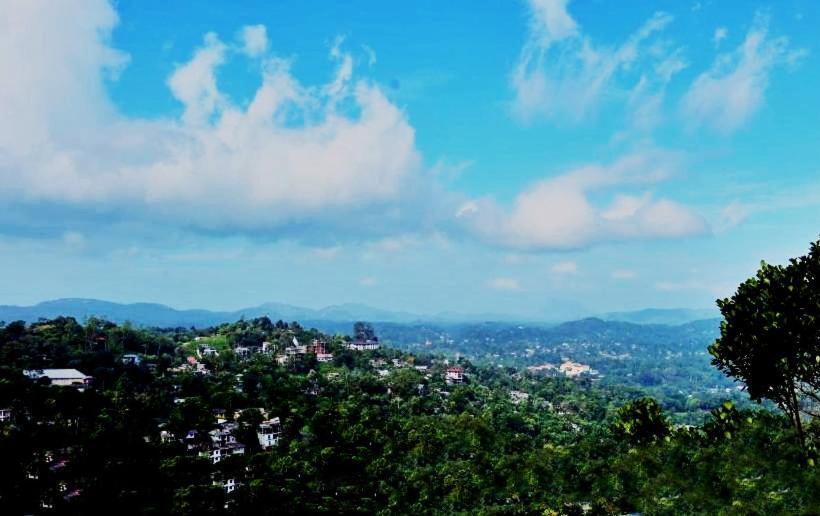 Pensión Cinnamon Citrus Residency